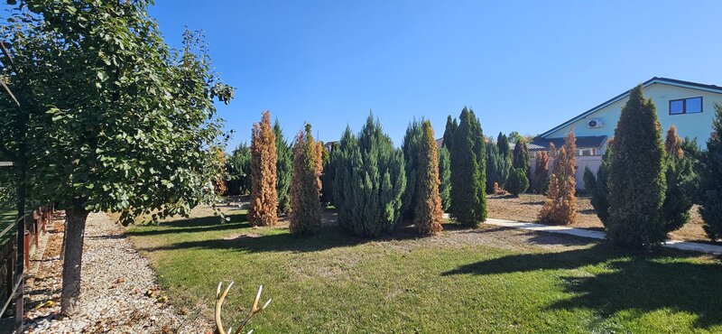 Adunatii Copaceni, sat Mogosesti, Giurgiu.